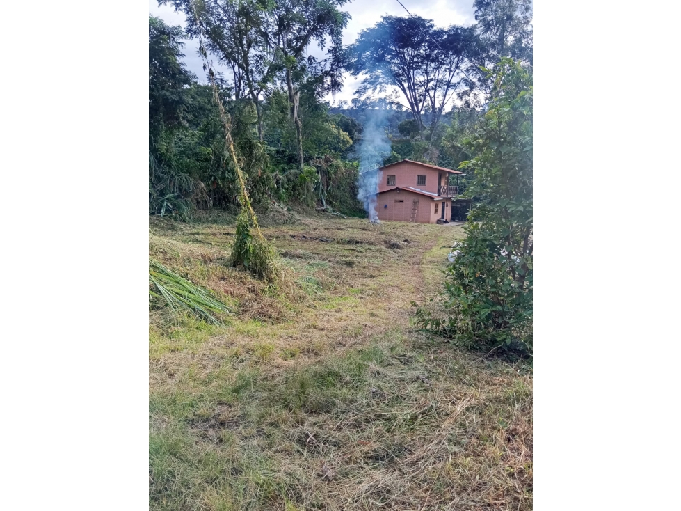 Cabaña Andes / VenCambio