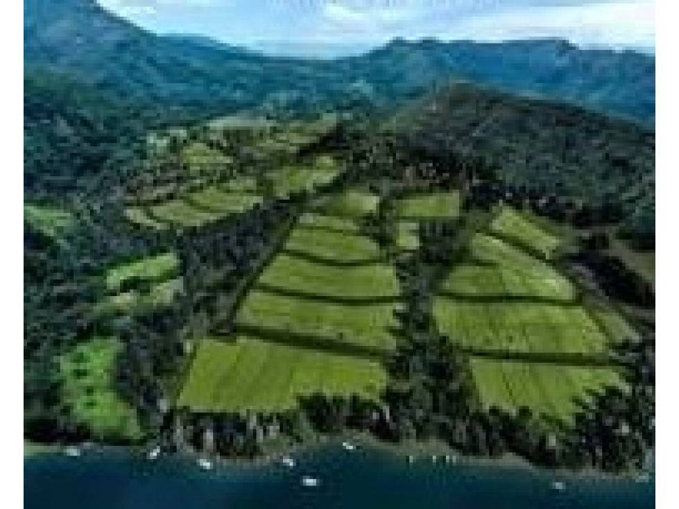 VENTA DE LOTE EN EL CLUB NAUTICO EN PRADO TOLIMA - 1