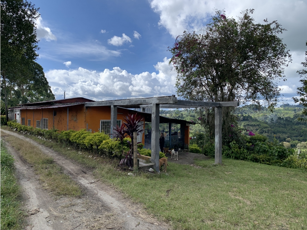 VENTA DE FINCA CAFETERA VEREDA CHAGUALÁ EN CALARCA - 1