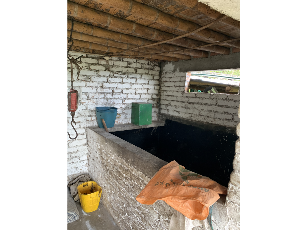 VENTA DE FINCA CAFETERA VEREDA CHAGUALÁ EN CALARCA - 6