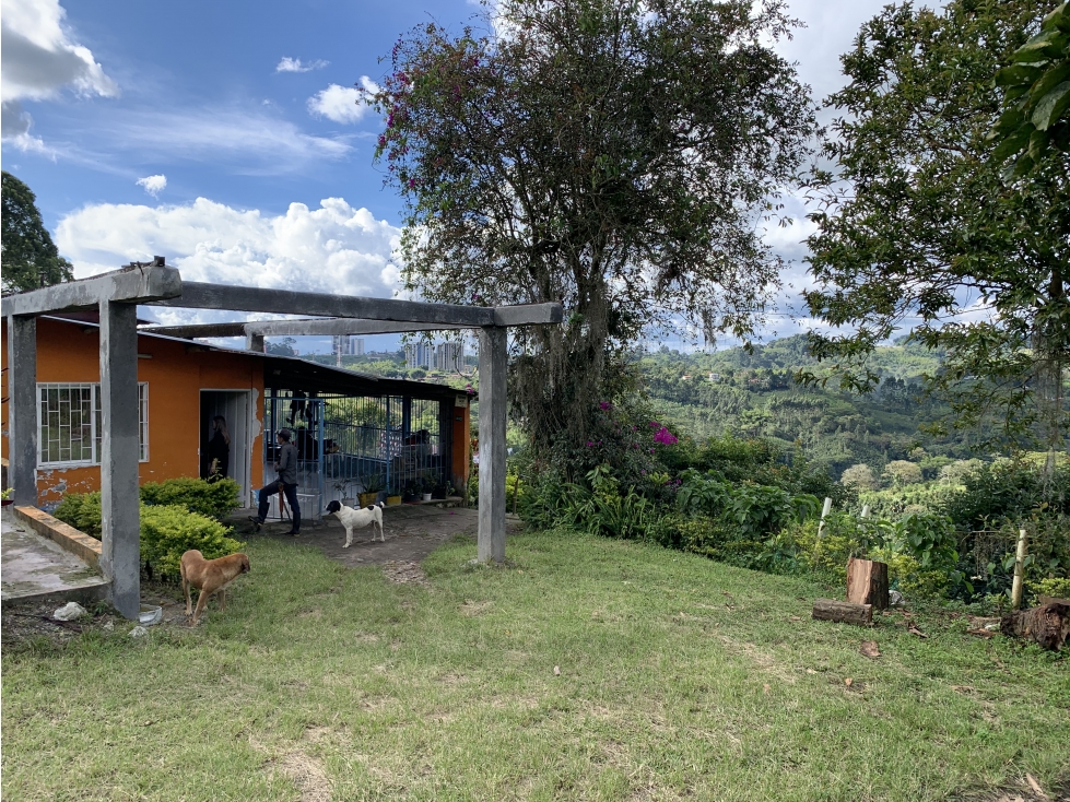 VENTA DE FINCA CAFETERA VEREDA CHAGUALÁ EN CALARCA - 2