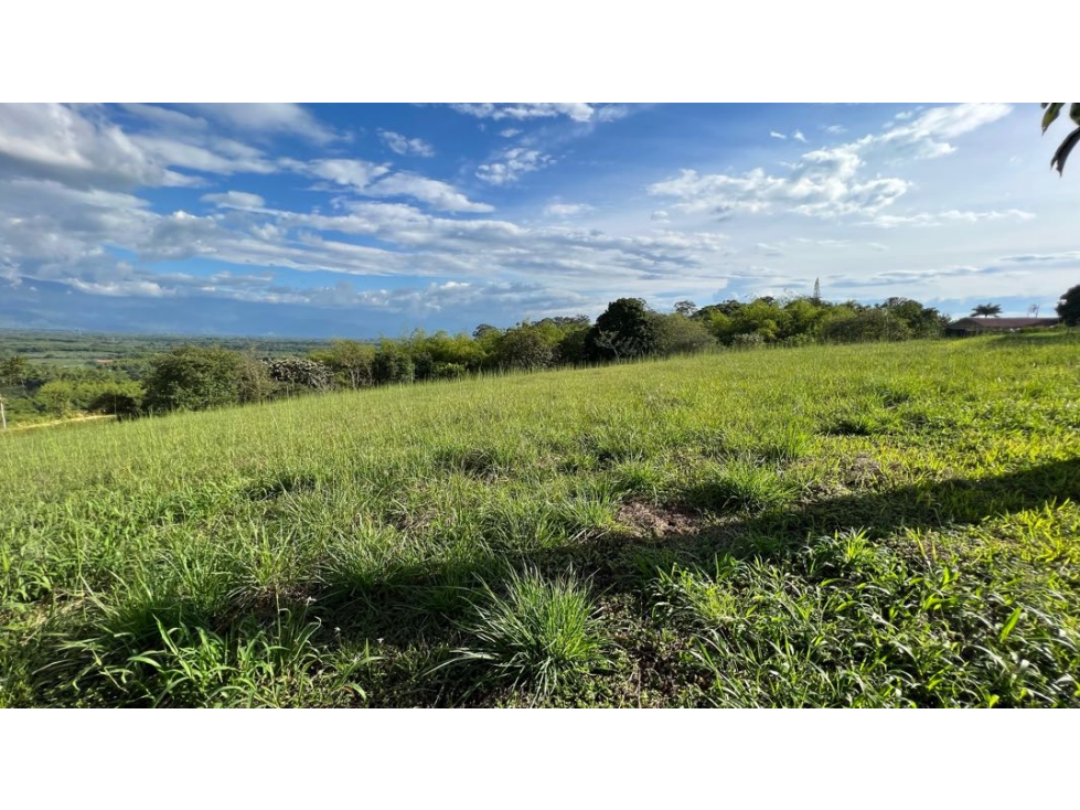 VENTA DE LOTE SECTOR PARQUE DEL CAFÉ EN MONTENEGRO - PUEBLO TAPAO - 3