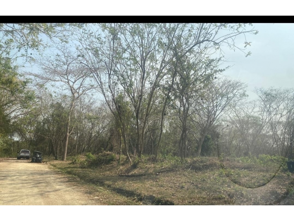 Lote en Venta Zona Norte Aleros del Country Cartagena — foto 5