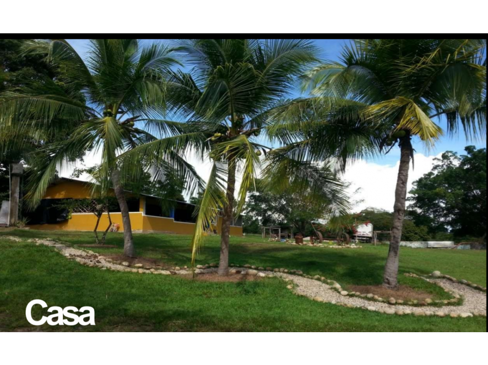 VENTA FINCA 263 HECT. EN VILLA NUEVA CASANARE - 1