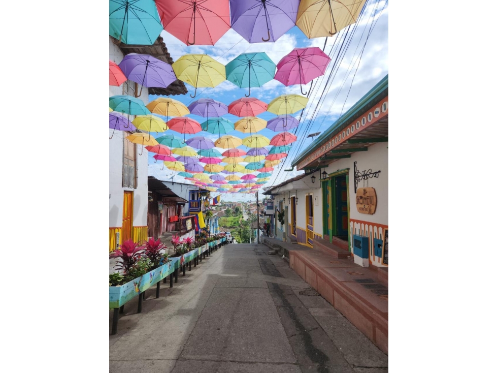 VENDO CASA EN SALENTO QUINDIO — foto 4