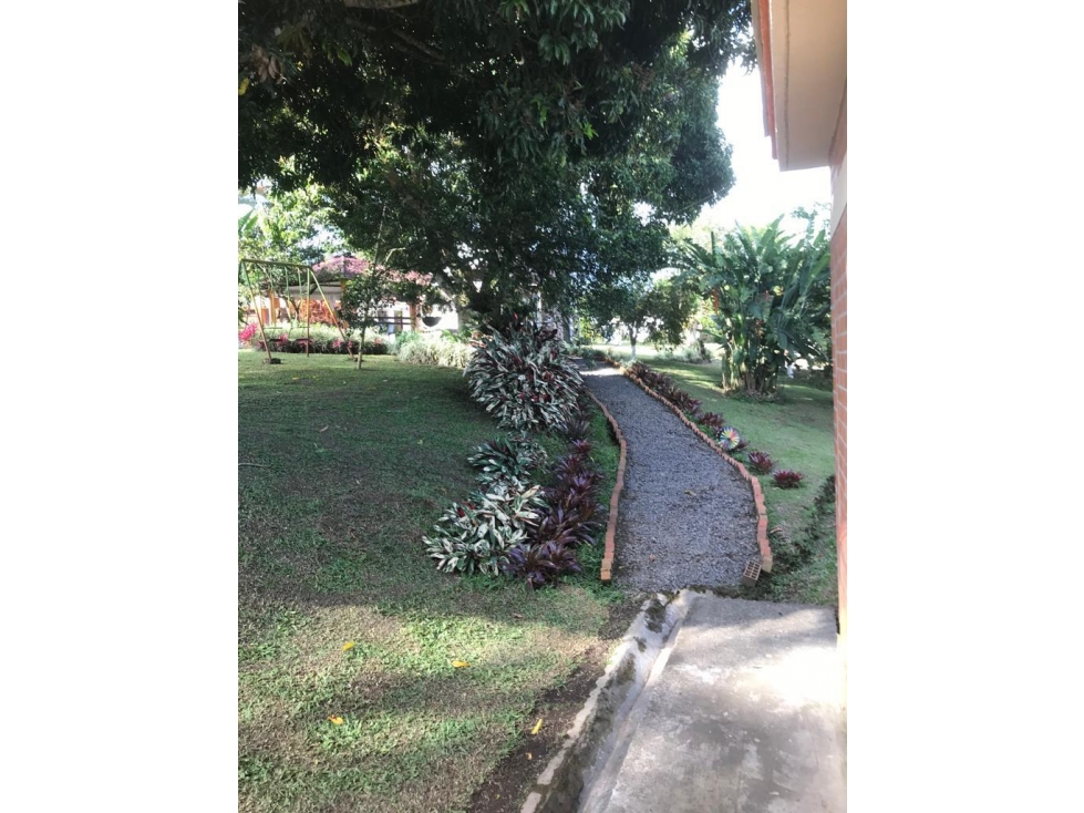 VENDO HERMOSA FINCA VEREDA EL CONGOLO VIA CONDINA PEREIRA — foto 5
