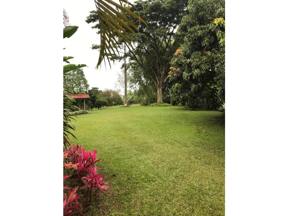 VENDO HERMOSA FINCA VEREDA EL CONGOLO VIA CONDINA PEREIRA — foto 2