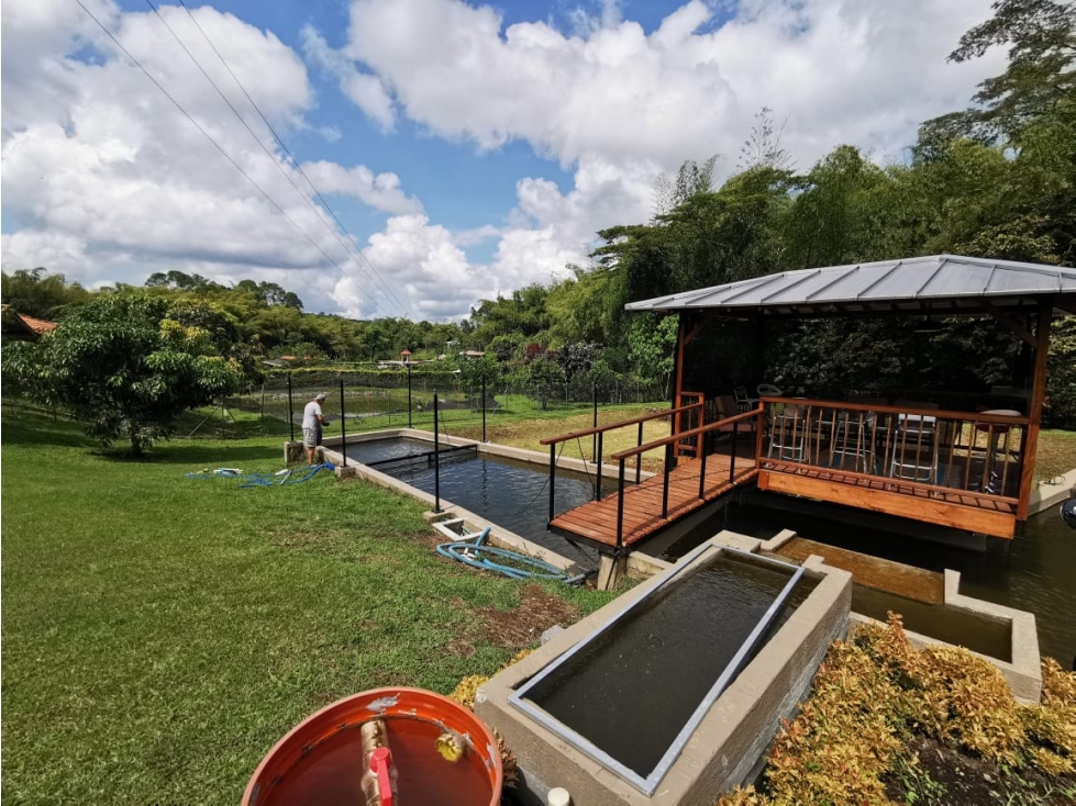 VENDO HERMOSA FINCA DE 10.000 M2 a 5 MIN DEL CRUCERO DE COMBIA — foto 4