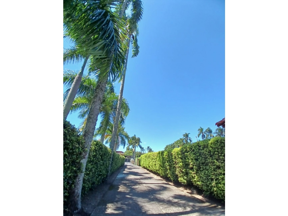 VENDO CASA CAMPESTRE VIA CERRITOS LA VIRGINIA — foto 4