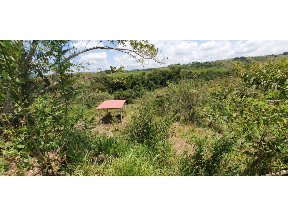 EN VENTA LOTE CERRITOS PEREIRA 11.052