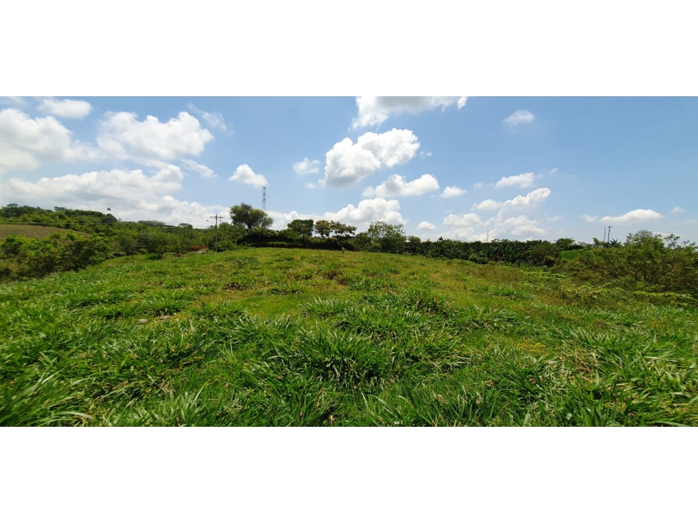 EN VENTA LOTE CERRITOS PEREIRA 10.022 M2