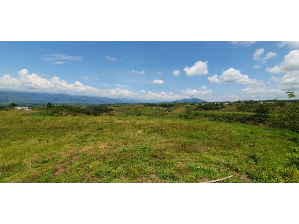 EN VENTA LOTE CERRITOS PEREIRA 11.403 M2