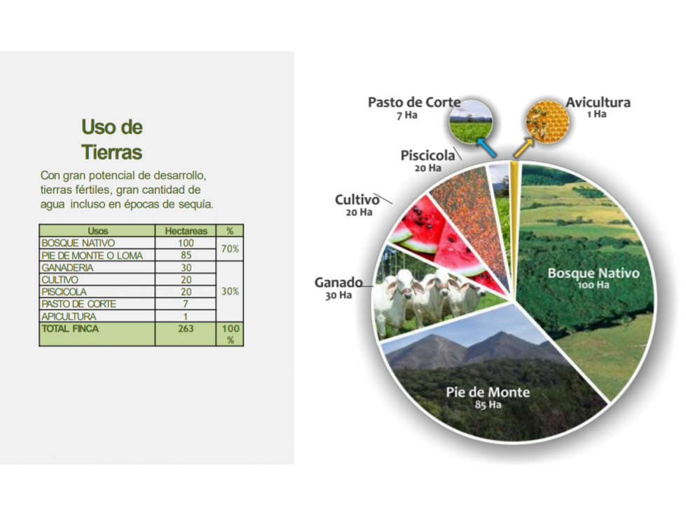 VENTA FINCA 263 HECT. EN VILLA NUEVA CASANARE - 3