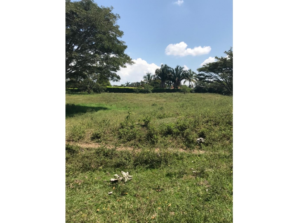 VENTA DE LOTE EN CERRITOS — foto 4