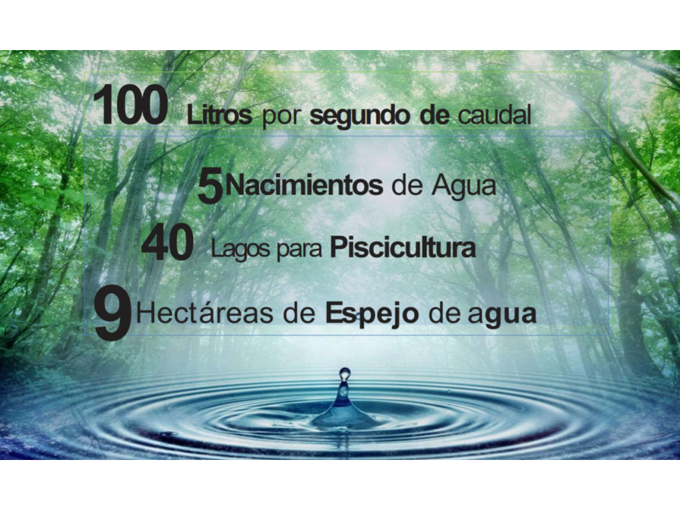 VENTA FINCA 263 HECT. EN VILLA NUEVA CASANARE - 4