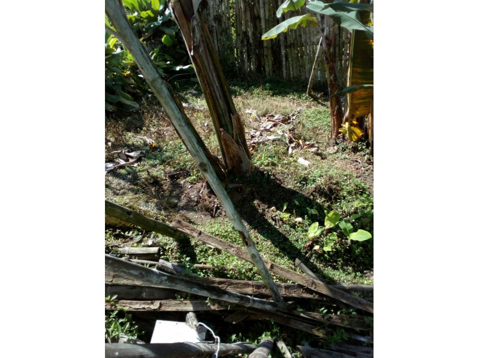 VENTA CASA LOTE SANTAROSA DE CABAL - 4