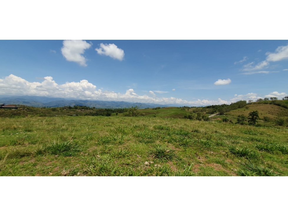 EN VENTA LOTE CERRITOS PEREIRA 11.517 M2