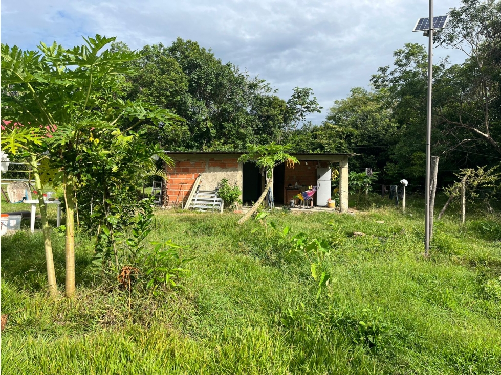 FINCA AGRO-GANADERA OPORTUNIDAD ÚNICA EN VILLANUEVA, CASANARE - 4