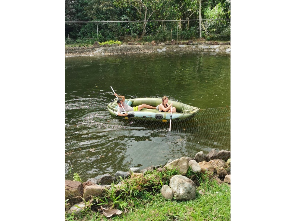 VENDO HERMOSA FINCA DE 10.000 M2 a 5 MIN DEL CRUCERO DE COMBIA — foto 6
