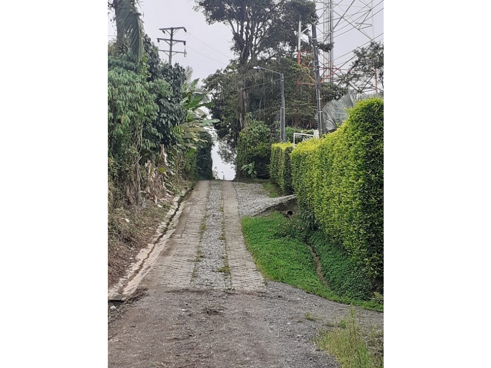 VENDO FINCA SECTOR MORELIA — foto 5