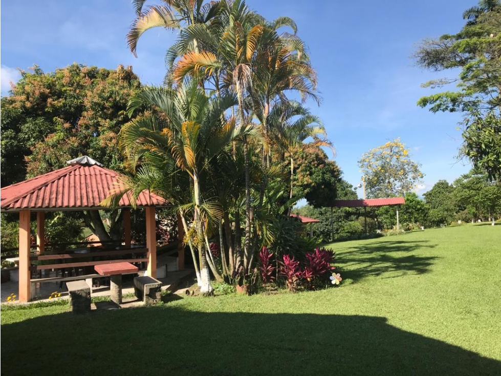 VENDO HERMOSA FINCA VEREDA EL CONGOLO VIA CONDINA PEREIRA