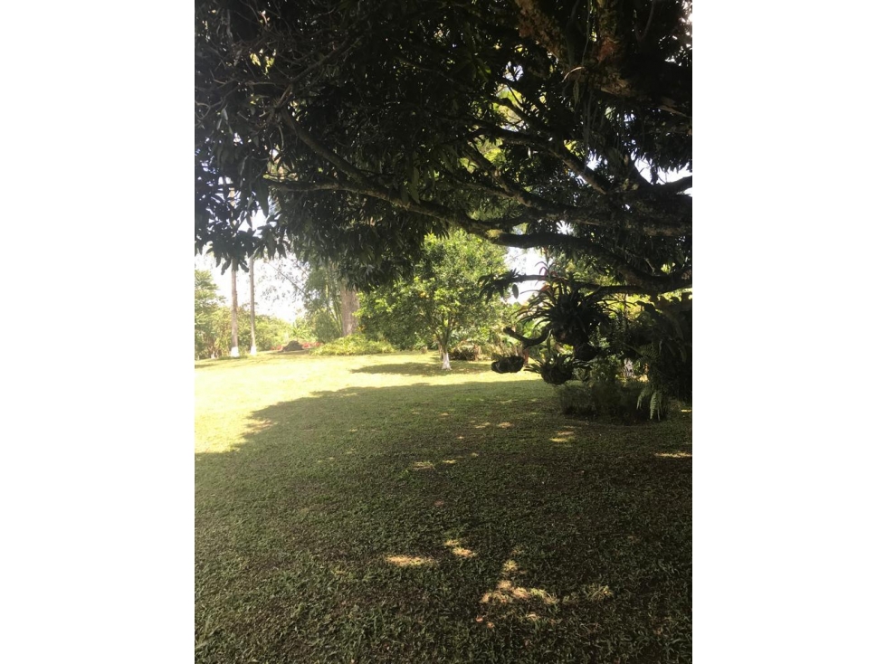 VENDO HERMOSA FINCA VEREDA EL CONGOLO VIA CONDINA PEREIRA — foto 4