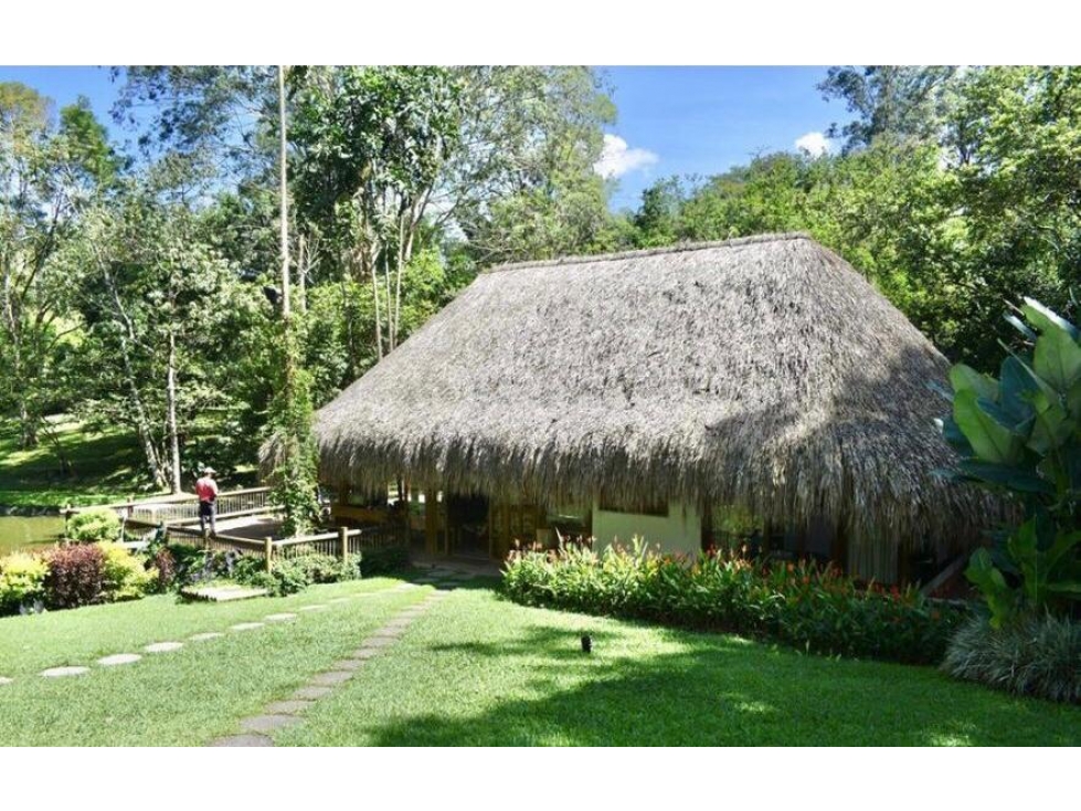 Vendo Espectacular Finca de 6 Cuadras Girardota — foto 2