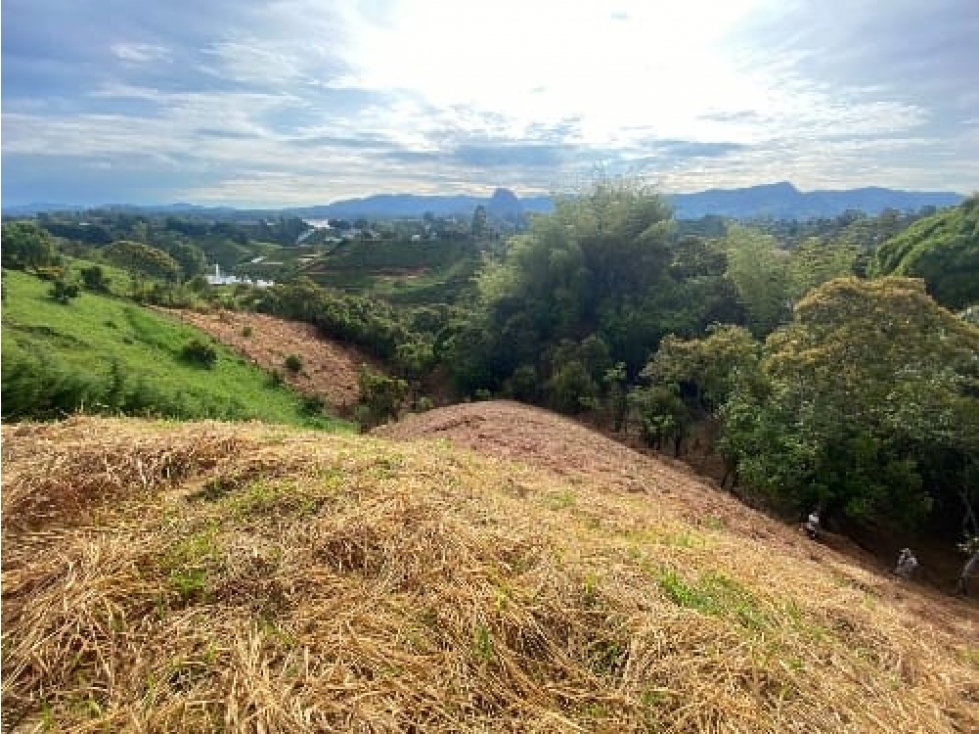 Vendo 4 Lotes el Peñol 13.200 Mts