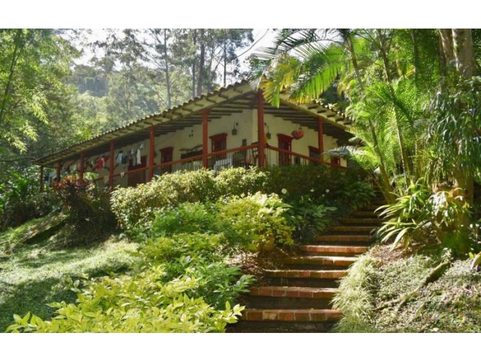 Vendo Espectacular Finca de 6 Cuadras Girardota — foto 5