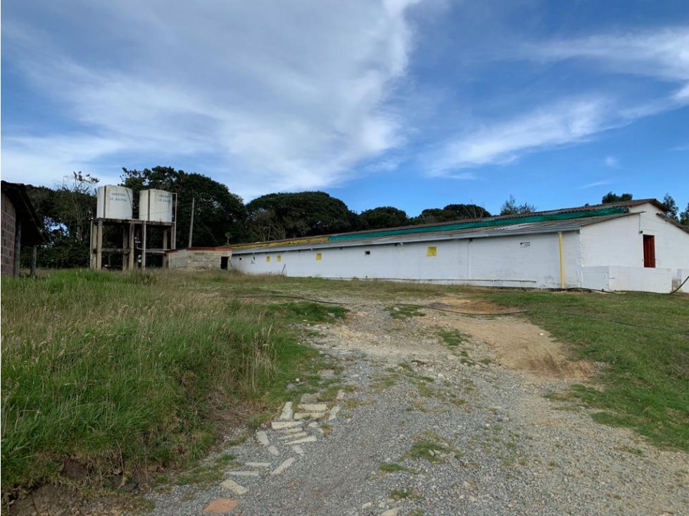 Vendo Finca Ganadera 66 cuadras Alto Boquerón — foto 3