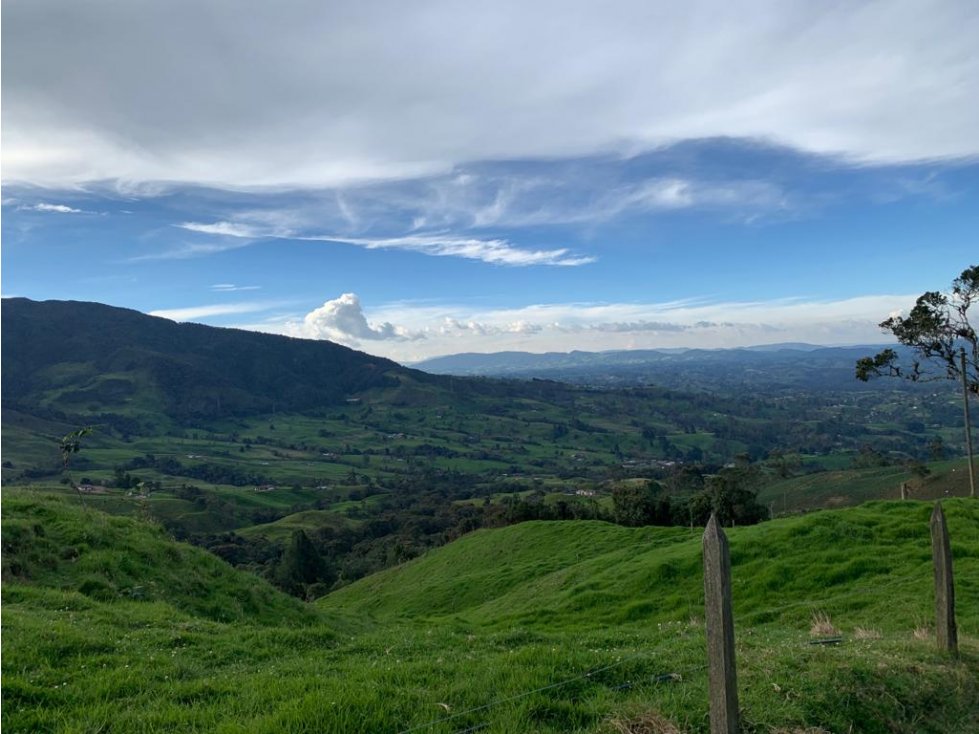 Vendo Finca Ganadera 66 cuadras Alto Boquerón — foto 6