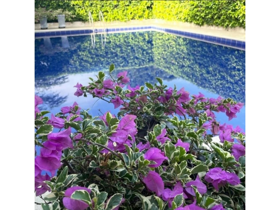 VENDO CASA DE TURISMO CON PISCINA PALMARITO CERCA A BARRANQUILLA — foto 4