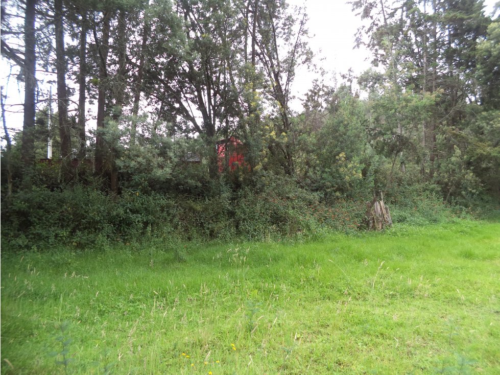 VENTA DE PROPIEDAD EN ZONA INDUSTRIAL OTAVALO - 37000 M2 - 2