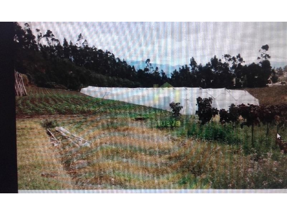 5 HECTÁREAS EN VENTA ATUNTAQUI - 2