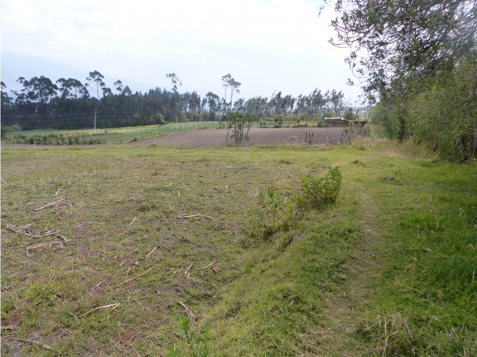 LOTES EN ILUMAN - 2