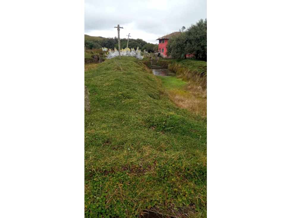 EN VENTA HACIENDAS 1.000 HECTAREAS EN LA PROVINCIA DEL CARCHI - 4
