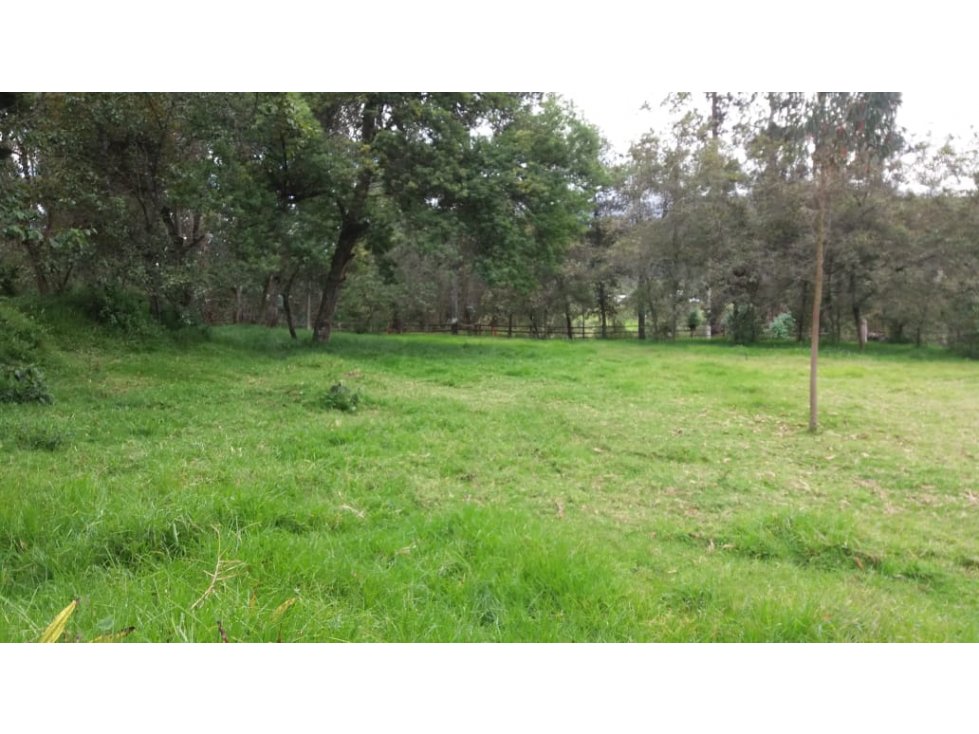 VENTA DE PROPIEDAD EN ZONA INDUSTRIAL OTAVALO - 37000 M2 - 3