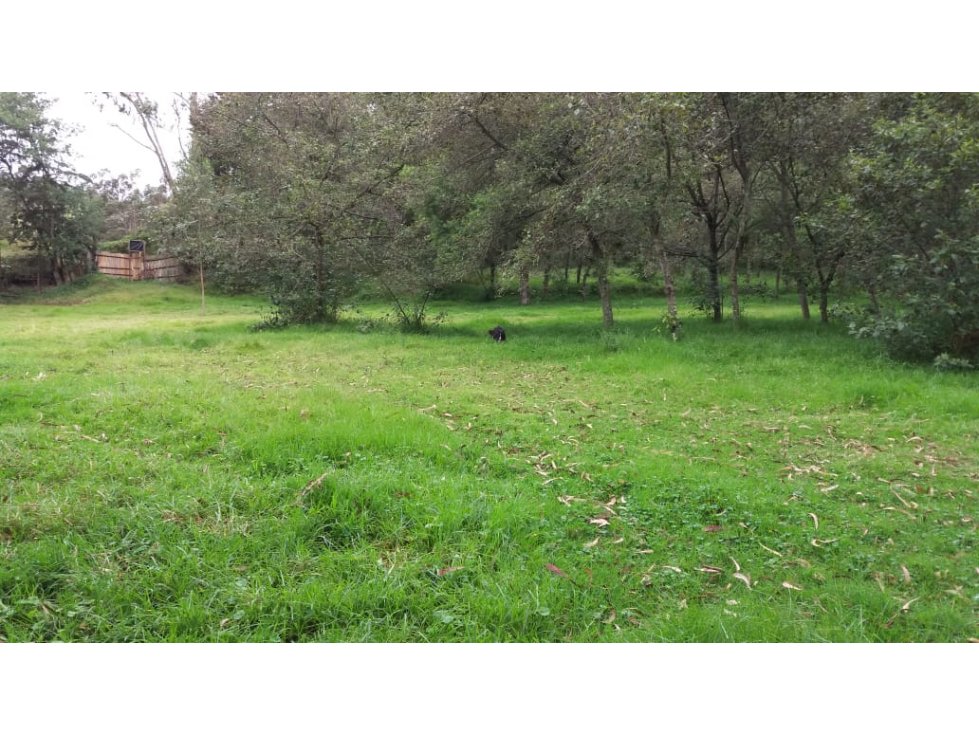VENTA DE PROPIEDAD EN ZONA INDUSTRIAL OTAVALO - 37000 M2 - 4