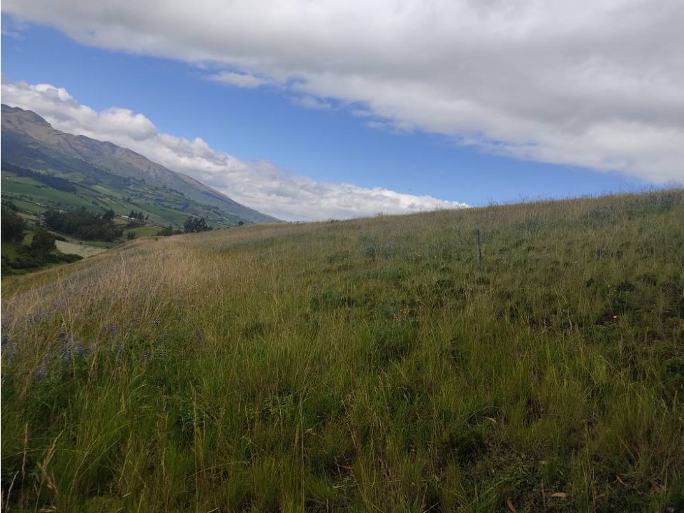 DE VENTA 5 HECTÁREAS EN CHAUPI CAYAMBE - 3