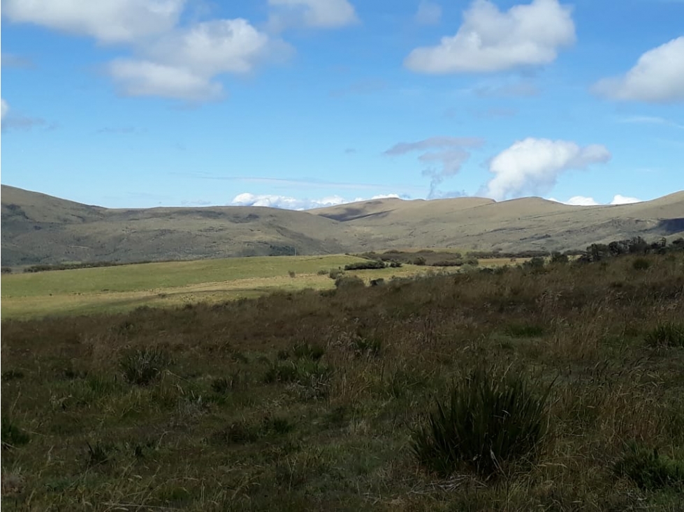 EN VENTA HACIENDAS 1.000 HECTAREAS EN LA PROVINCIA DEL CARCHI - 3