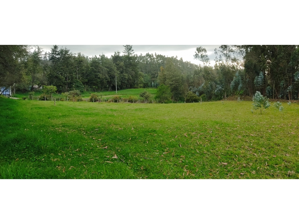 PROPIEDAD UNICA EN OTAVALO 4 HECTAREAS - 4