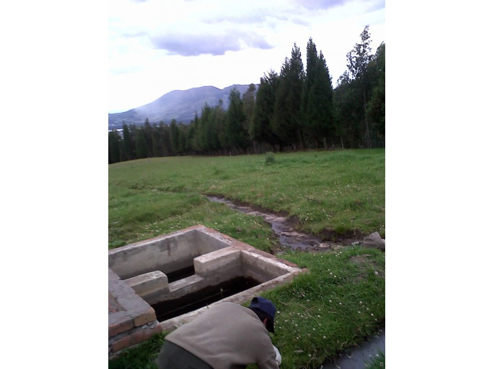 FINCA DE 40 HAS PARA GANADERÍA O AGRICULTURA DE ROSAS EN CAYAMBE - 4