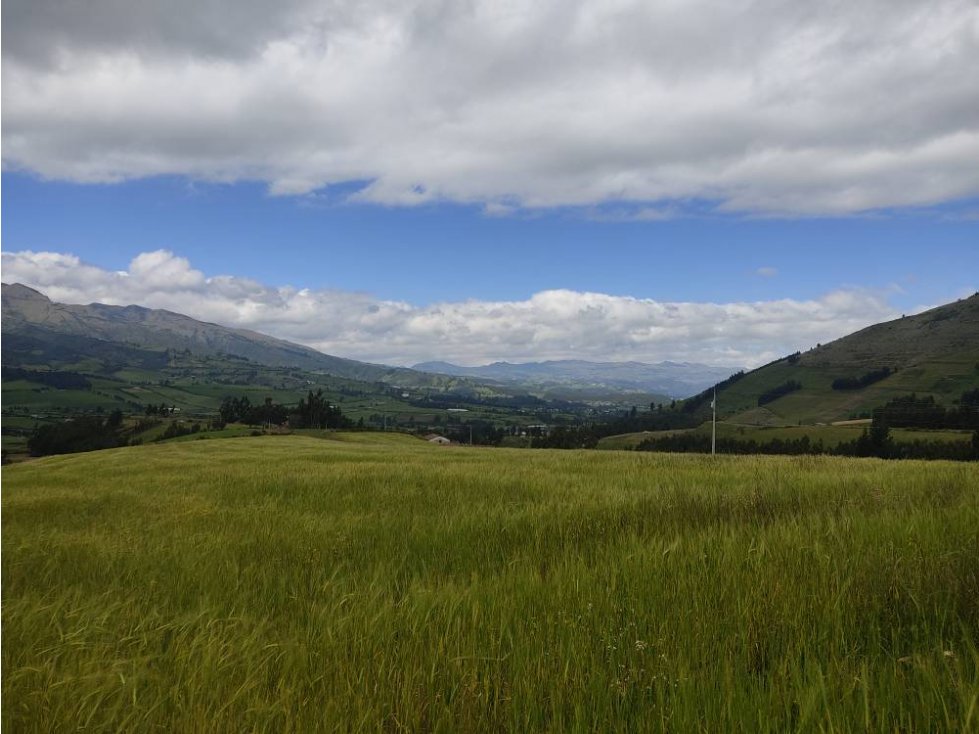 DE VENTA 5 HECTÁREAS EN CHAUPI CAYAMBE - 4