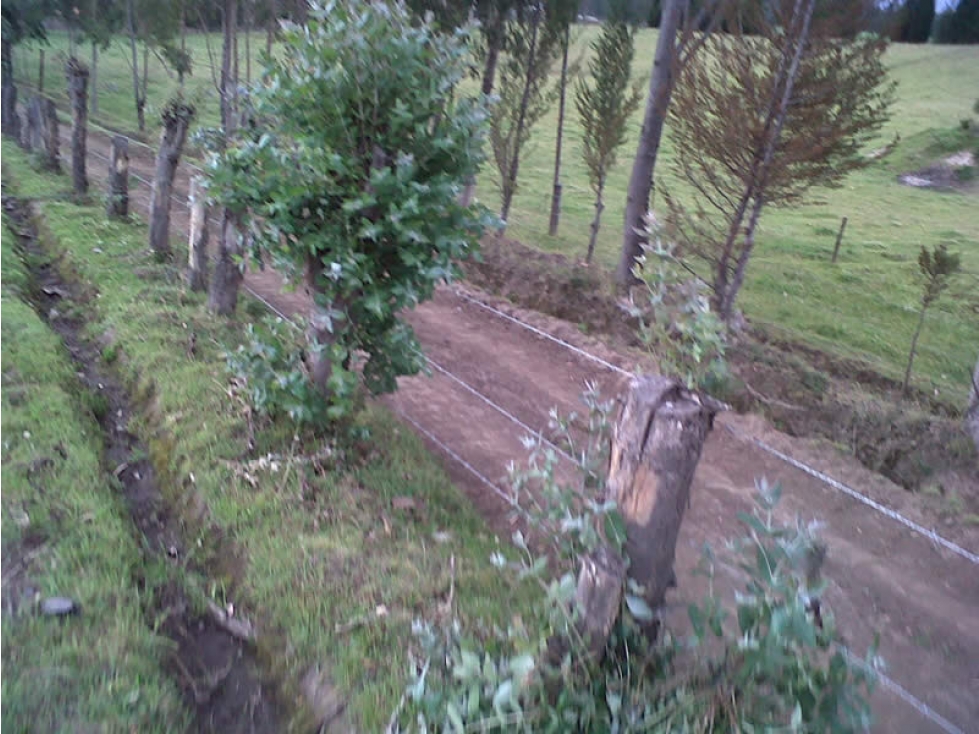 EN VENTA FINCA / TERRENO RURAL EN CAYAMBE - 4