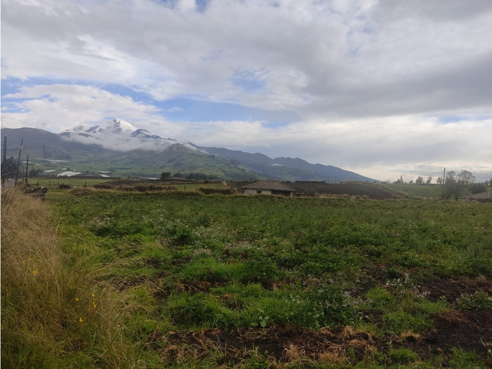 ¡Oportunidad Ãnica en Olmedo 7.700 m2 EN VENTA! - 4