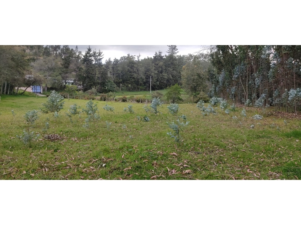 PROPIEDAD UNICA EN OTAVALO 4 HECTAREAS - 6