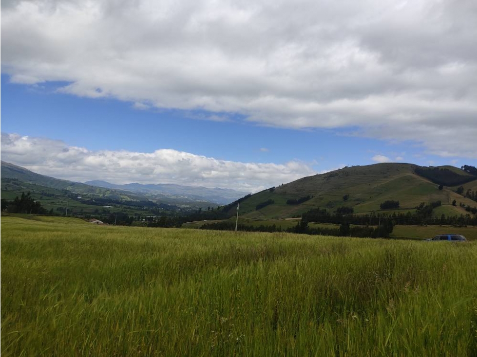 DE VENTA 5 HECTÁREAS EN CHAUPI CAYAMBE - 5