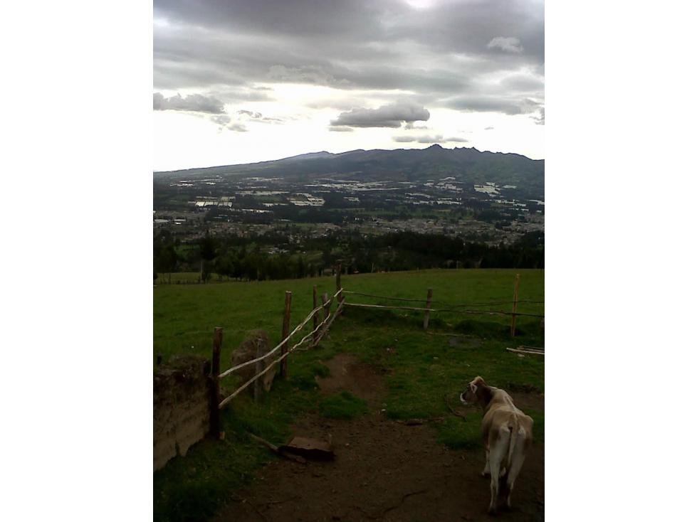 EN VENTA FINCA / TERRENO RURAL EN CAYAMBE - 5