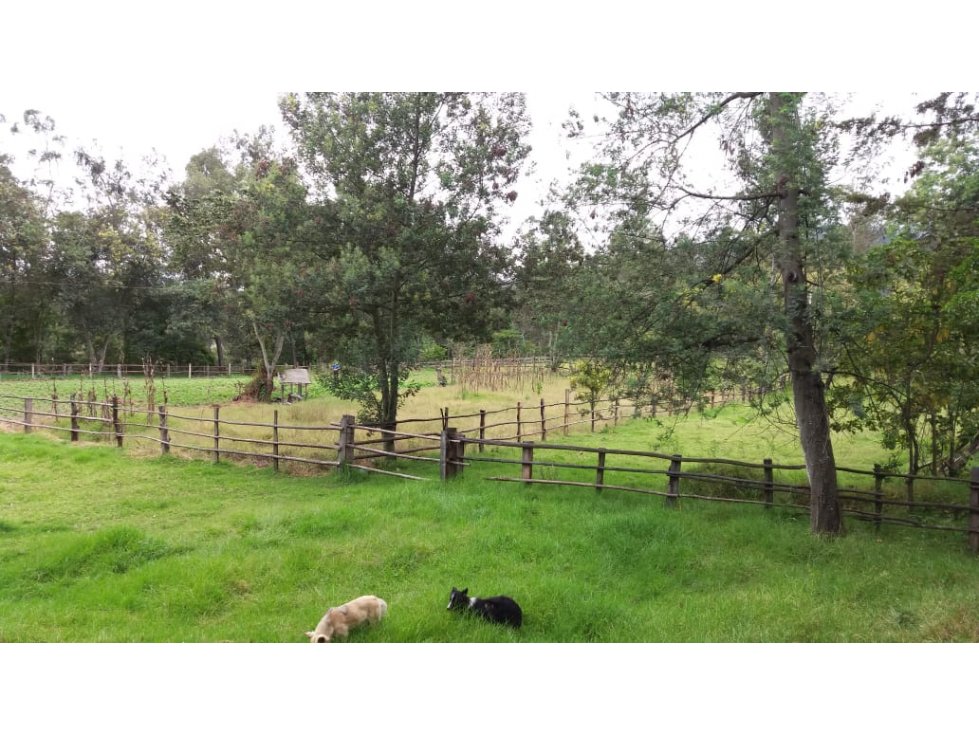 VENTA DE PROPIEDAD EN ZONA INDUSTRIAL OTAVALO - 37000 M2 - 6