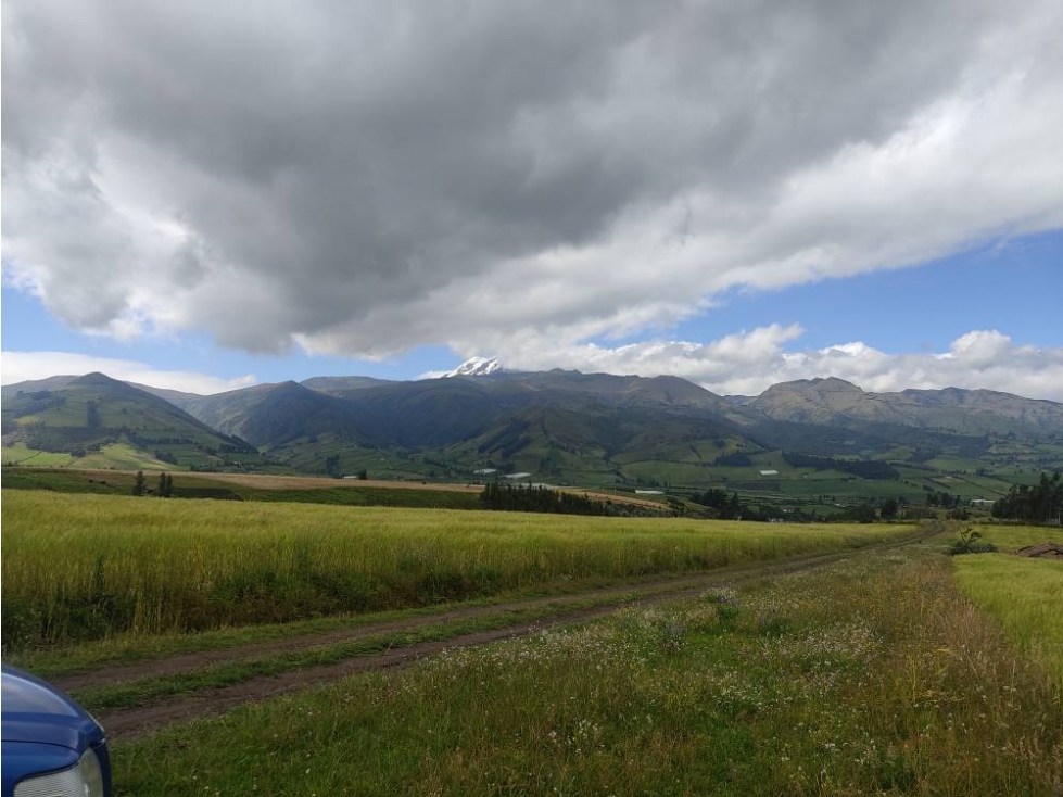 DE VENTA 5 HECTÁREAS EN CHAUPI CAYAMBE - 6